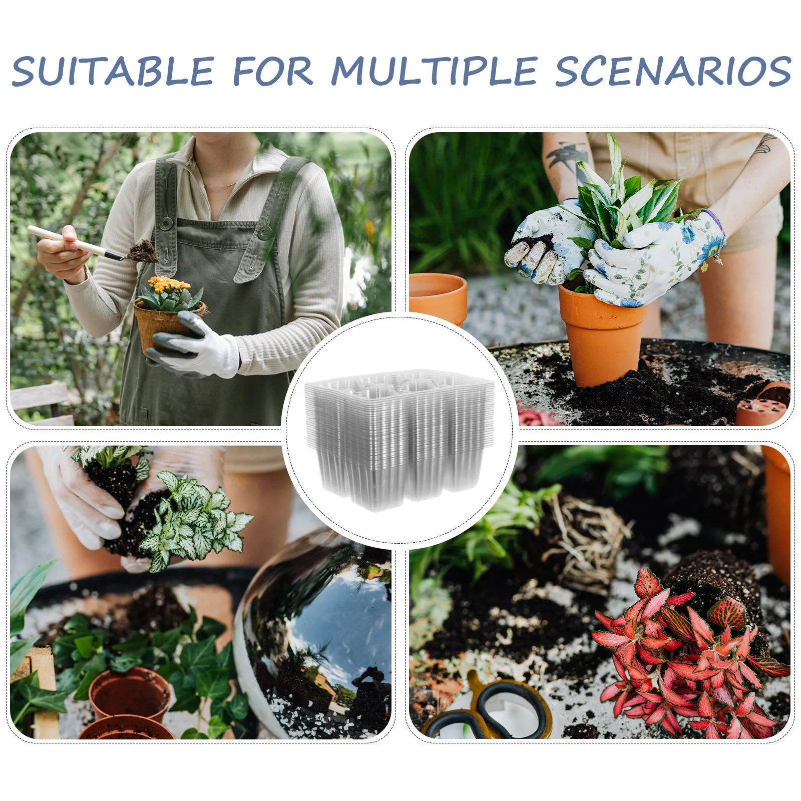 30Pcs Plastic Seedling Starter Trays Transparent Plant Nursery Tray Drainage Holes Indoor Flower Vegetable Germination Cups