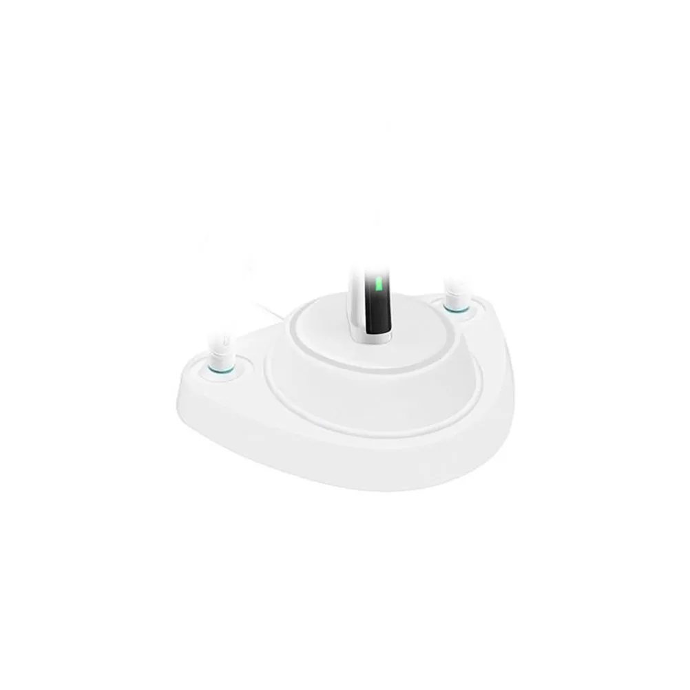 Plastic Electric Toothbrush Holder Stand Base with Two Head Covers for Charger Storage and Dust Protection