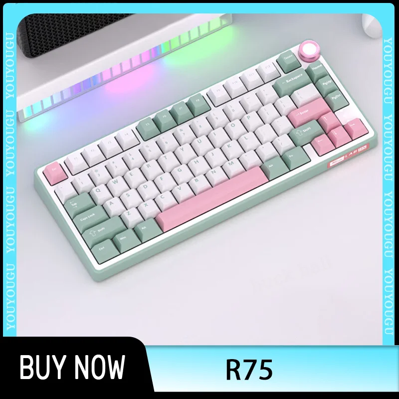

Беспроводная игровая клавиатура с Rgb-подсветкой, 81 клавиша, 75% прокладки