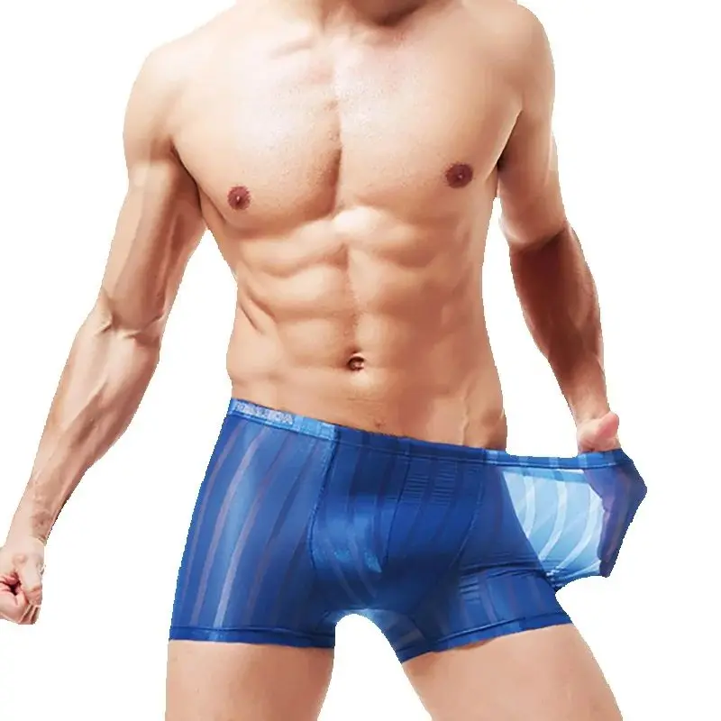 Transparent Breathable Mens Ice Silk Perspective Boxer Para Hombred Shorts Man Panties Striped Underwear Homme Sexys Lingerie