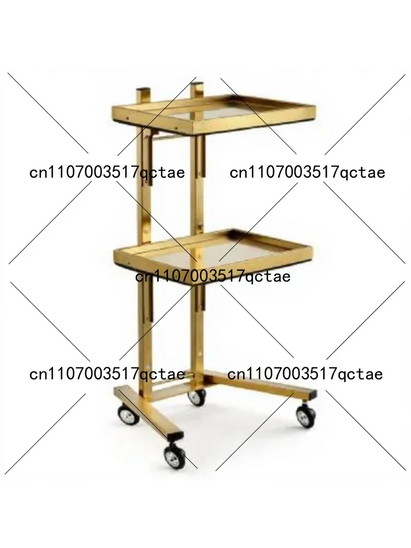 Stainless Steel 2-Tier Foldable Tool Cart for Beauty Salon Barber Shop Trolley Storage Workbench with Smooth Rolling Casters