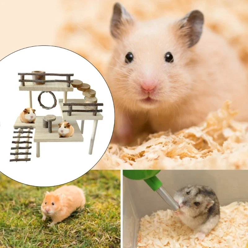 Hamster Rodents Toy Gerbil Platform Training Pet Ladder House for Ferrets Guinea Pigs Toy House Gym Toy