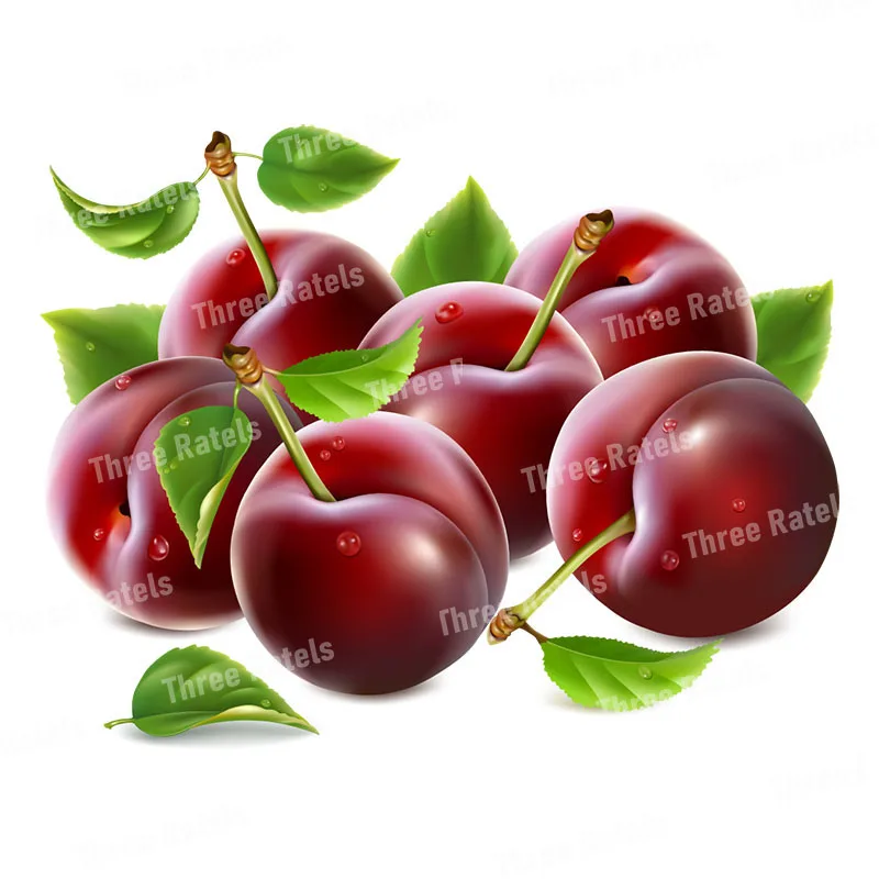 Three Ratels CC60 Fresh Fruit Sticker kitchen decoration refrigerator Decal