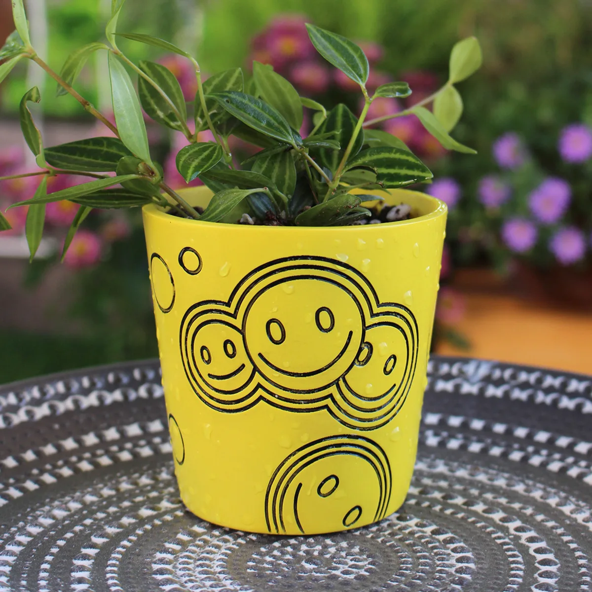 ‌Yellow Smiley Face Succulent Planter - Resin Garden Decor, DIY Micro Landscape
