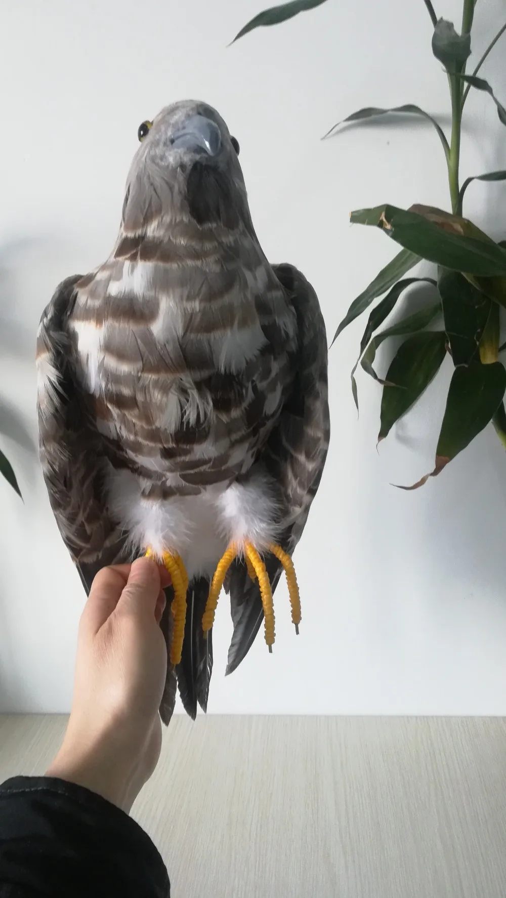 

Large Gray Eagle Model Toy Realistic Simulation Foam & Feather Bird Gift Approx. 48x40cm D0125