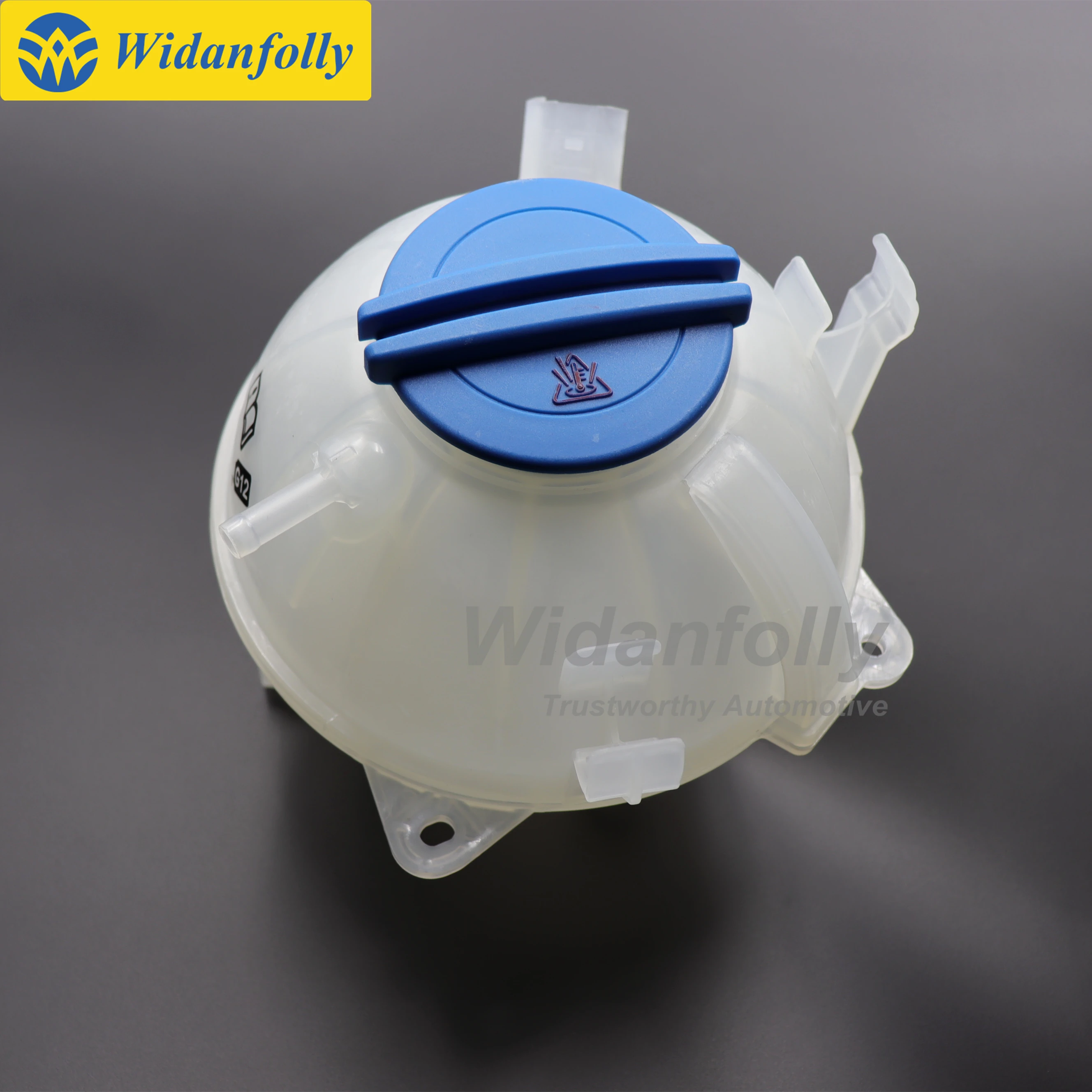 Widanfolly Engine Radiator Coolant Reservoir Tank Bottle And Cap For GOLF MK6 GTI JETTA MK5 TIGUAN PASSAT CC 1K0 121 407 A