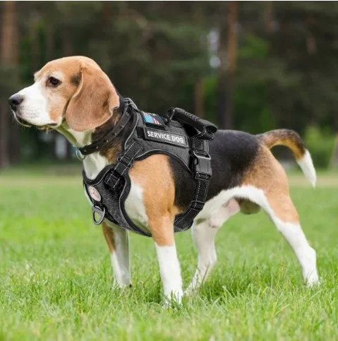 

New dog chest strap anti-break free pet vest type leash supplies reflective