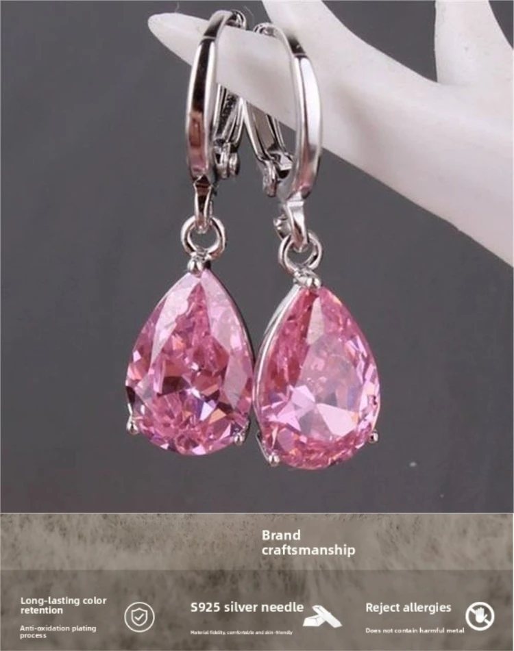 

SHXI Women's Anti-allergic Earrings Woman 925 Silver Jewelry Bags Rhinestones Hoop 2025