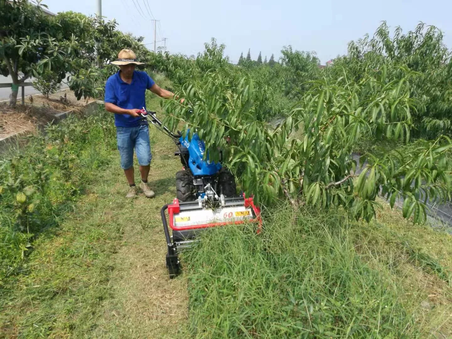 Bekannte Marke Italien BCS 720 Mini Power Tiller