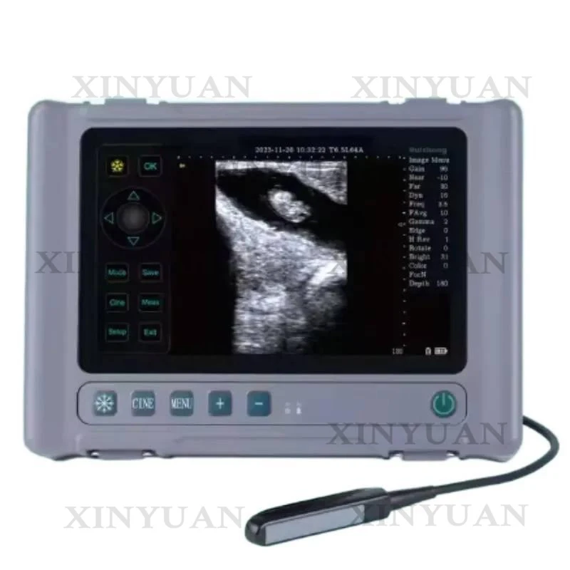 Veterinary Ultrasound Scanner with Rectal Linear Probe for Sheep Horse Cattle Agricultural Sonar Equipment