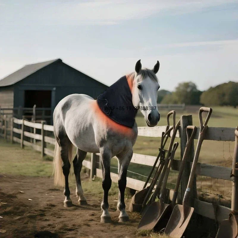 

660nm850nmTop Equestrian Equipment Star Horse Race Veterinary Instruments for Equine Neck Healthcare