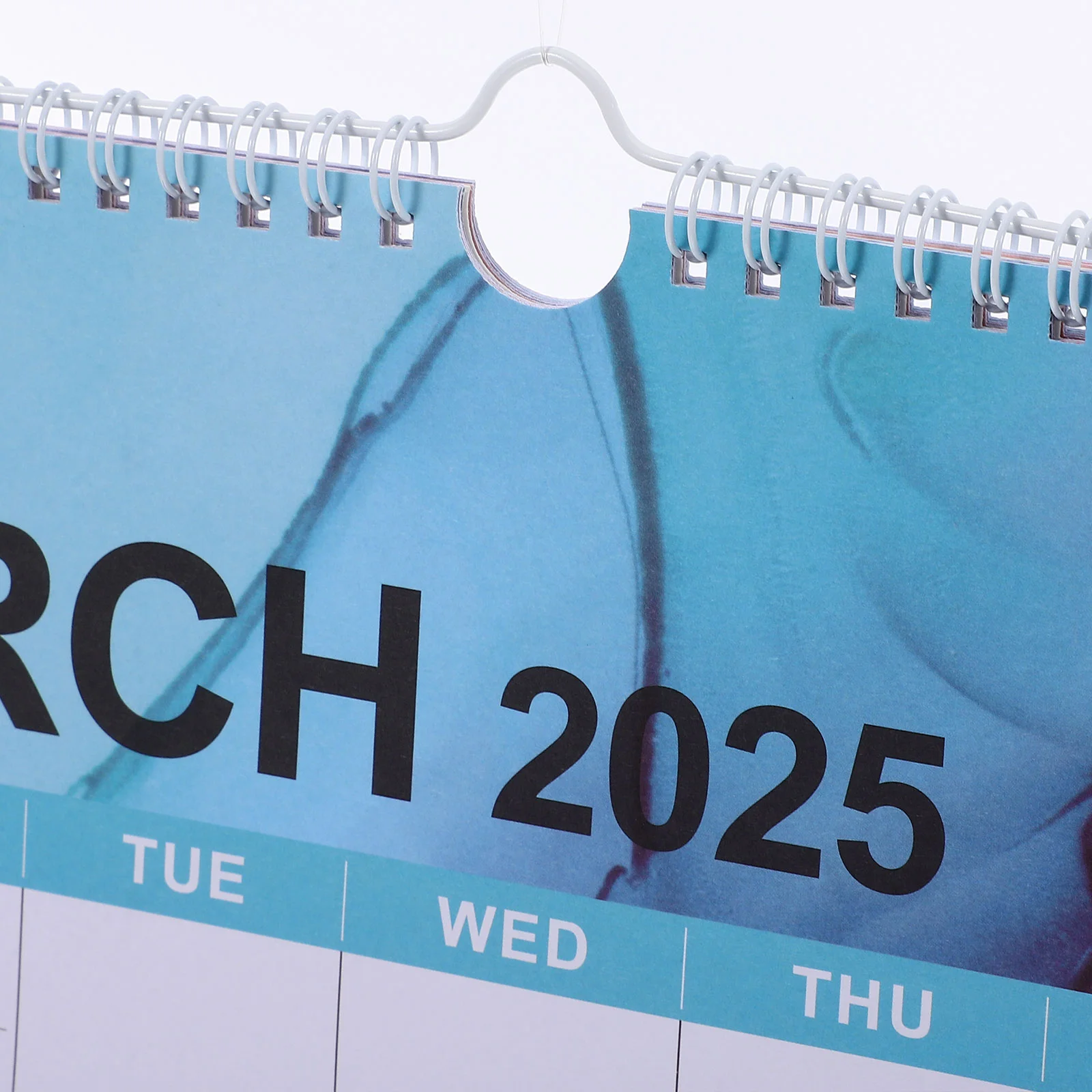 Calendario de pared inglés Estético Mensual Lindo 2024 Delicado para la oficina diaria Pequeño