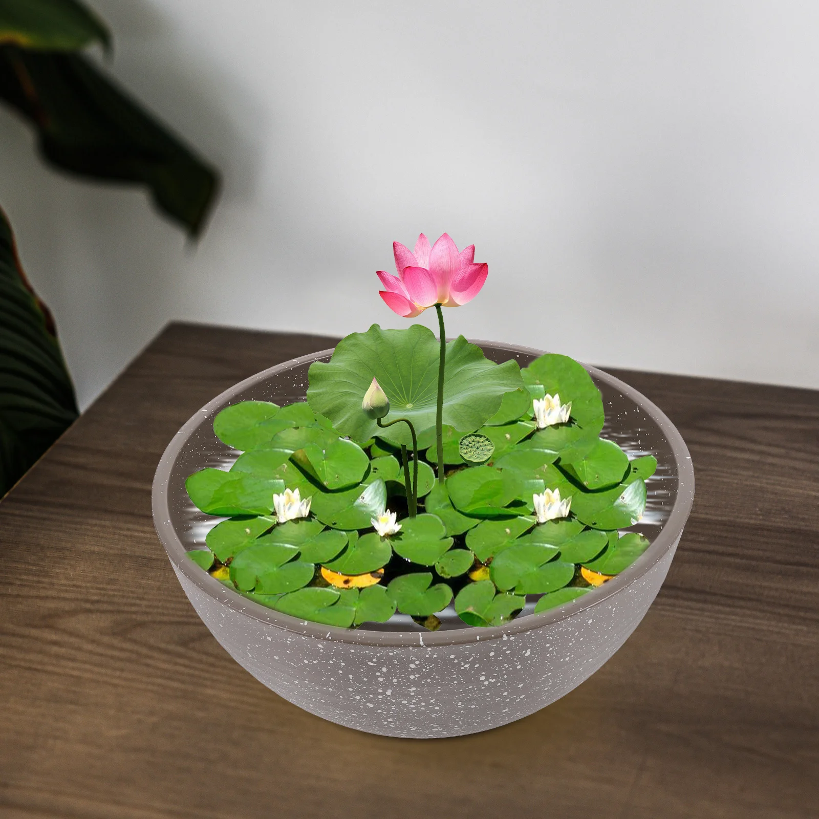 

Plastic Daffodil Planter Hydroponic Bowl Pot for Home Garden Decor Smooth Surface Comfortable Touch Balcony Planting Water Lily