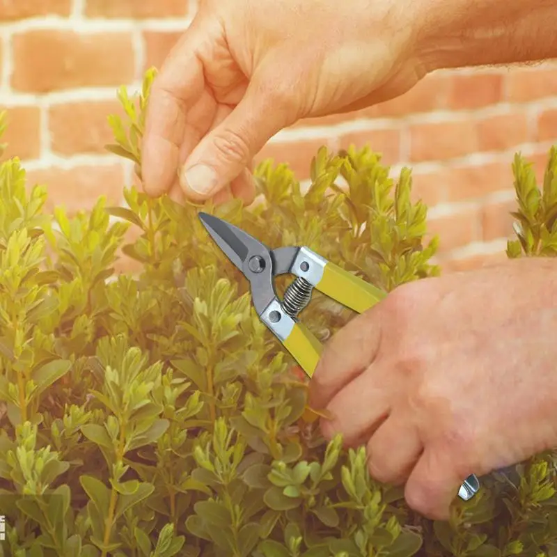 Imagem -05 - Professional Bypass Árvore Trimmer Jardim Tesoura Poda Shears Aparadores Secateurs Clippers Scissor Sharp
