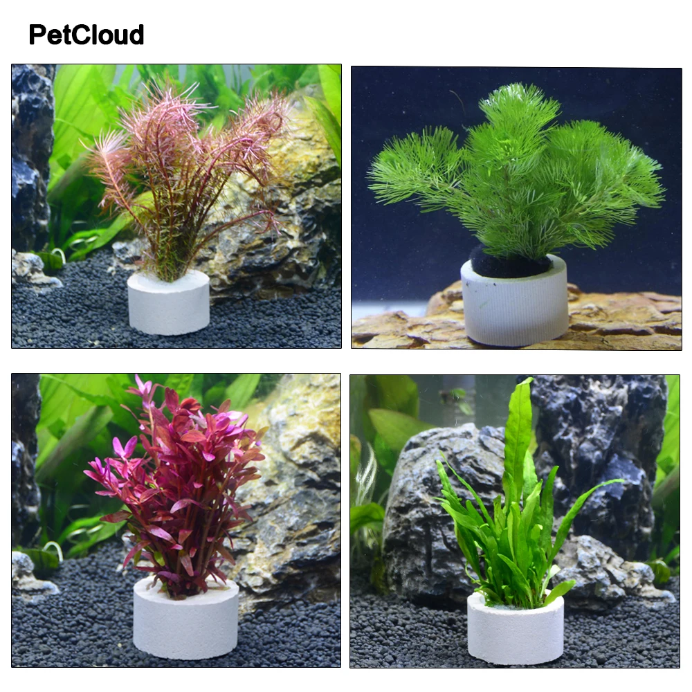 3pcs Aquarium Plants Planting Ceramic Ring For Fish Tank Decoration Rings Water Grass Fixed Cup DIY Fish Tank Ornamento Supplies