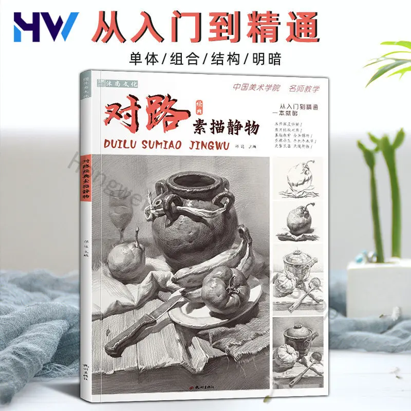 HVV Sketch Still Life Drawing Book Basic Tutorial for Beginners with Classic Examples and Structure Photos Art College Exam Prep