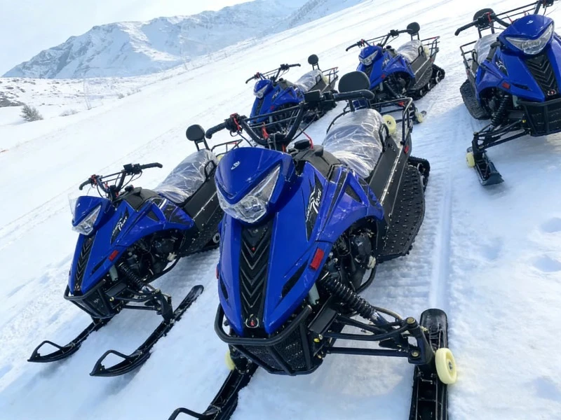 300CC Snow Mobile ATV Tracked Snow Vehicle Skidoo 300CC Engine All Terrain Off-road For Adult view 4