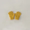 YL