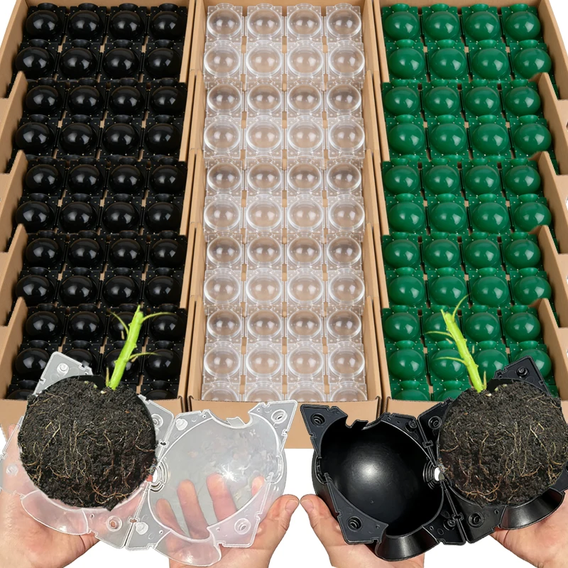 Plant Rooting Ball …