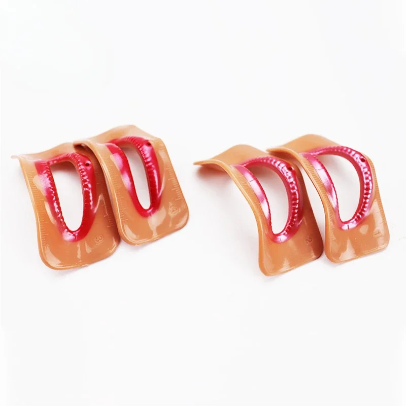 

Wholesale Denture Aesthetics Lip Model Denta Teeth Arrangement Denta Consumables