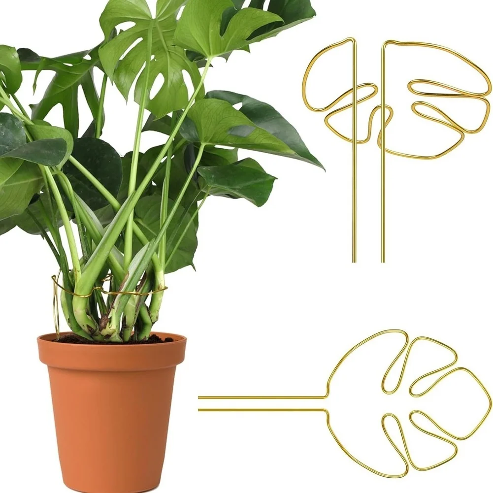 Stainless Steel Plant Support for Monstera to Provide Consistent Vertical Guidance and Improve Plant Posture For Indoors
