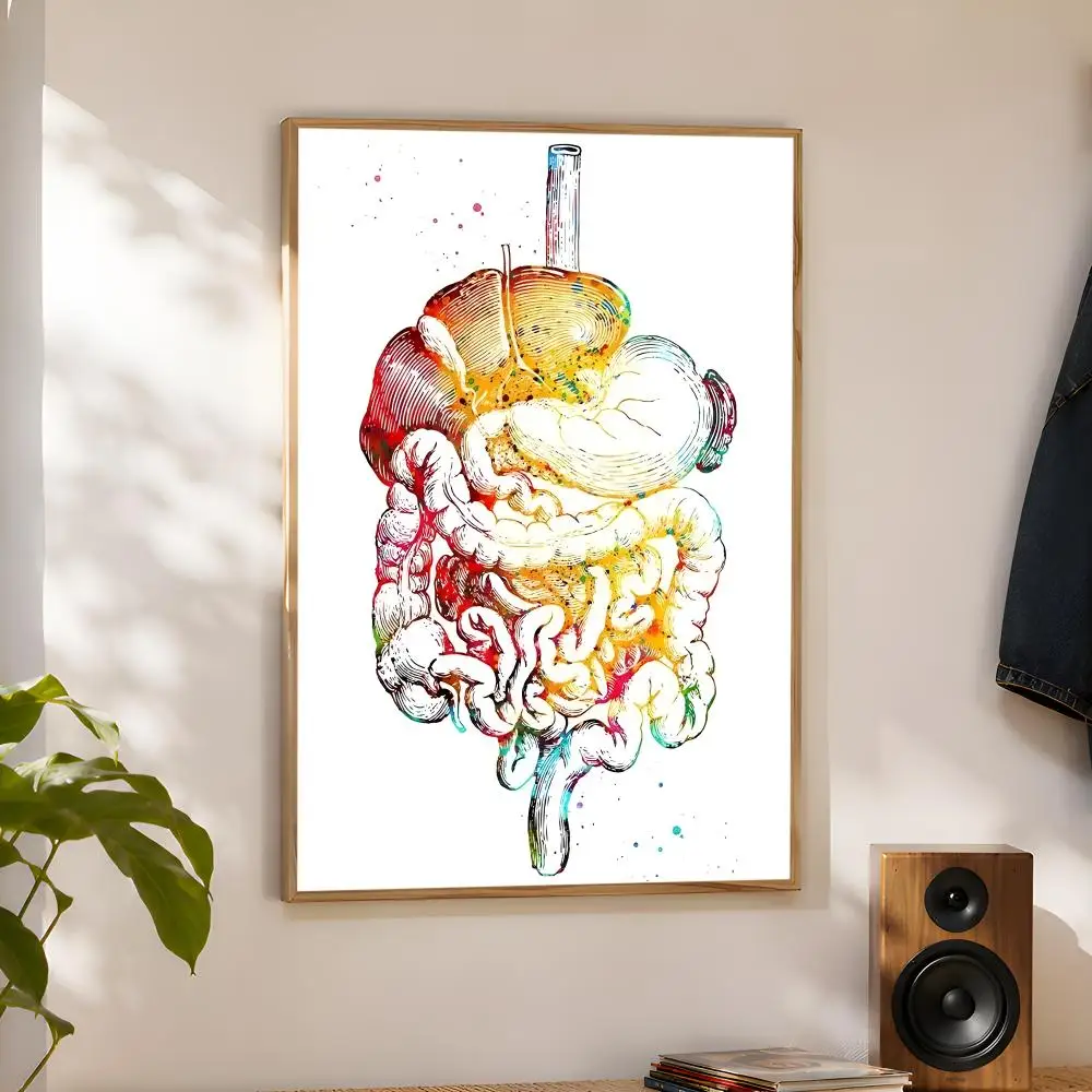 Scandinavian Simple Human Anatomy Spine Heart Brain Teeth Poster Home Artwork For Living Room Bedroom Office Dorm Apartment Gift