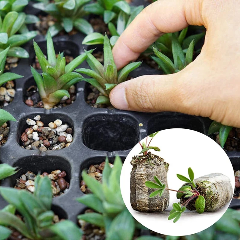 240Pcs 30Mm Peat Pellet Soil Plant Starters Plugs Pallet Seedling Soil Block, Seed Fertilizer Nutrient Block For Flowers