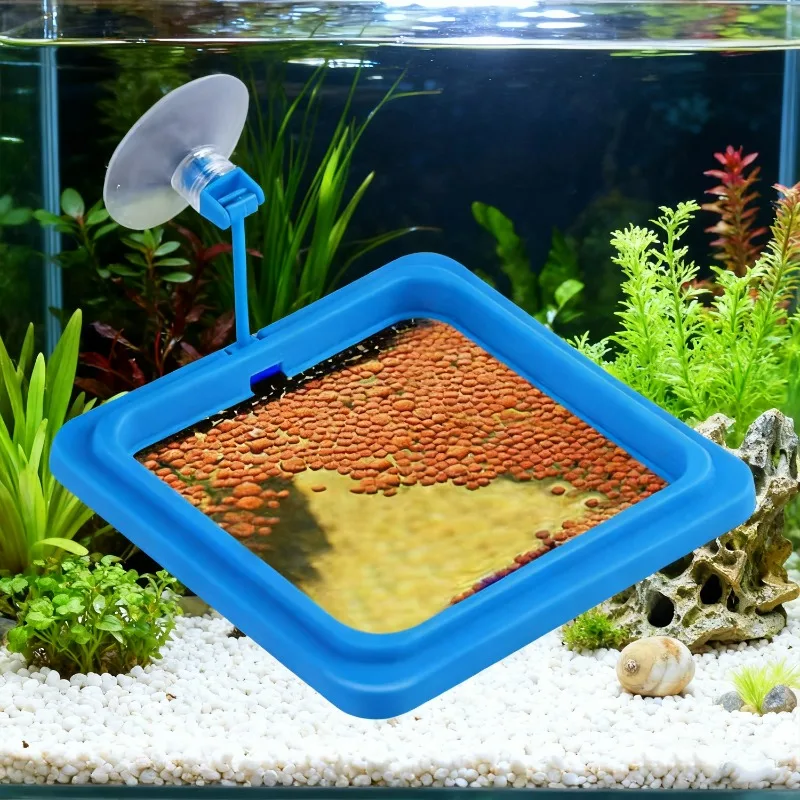 Aquarium Fish Tank Feeding Ring Station Floating Food Tray Feeder Square Circle Accessories Fish Foods Feeder with Suction Cup