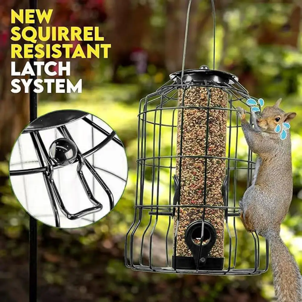Thumbnail 3 - #3 Trending Squirrel Feeders Right Now