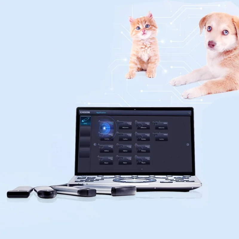 High quality 30 vet 3d 4d veterinary ultrasound portable ultradound with battery touchable scanner Ultrasonido