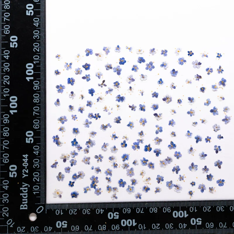 24 Stück, gepresste blaue Trockenblumen aus Spitze für DIY-Harzschmuck, Lesezeichen, Grußkarten, Scrapbooking, Aromatherapie, Kerzen, Bastelzubehör – Detail 11
