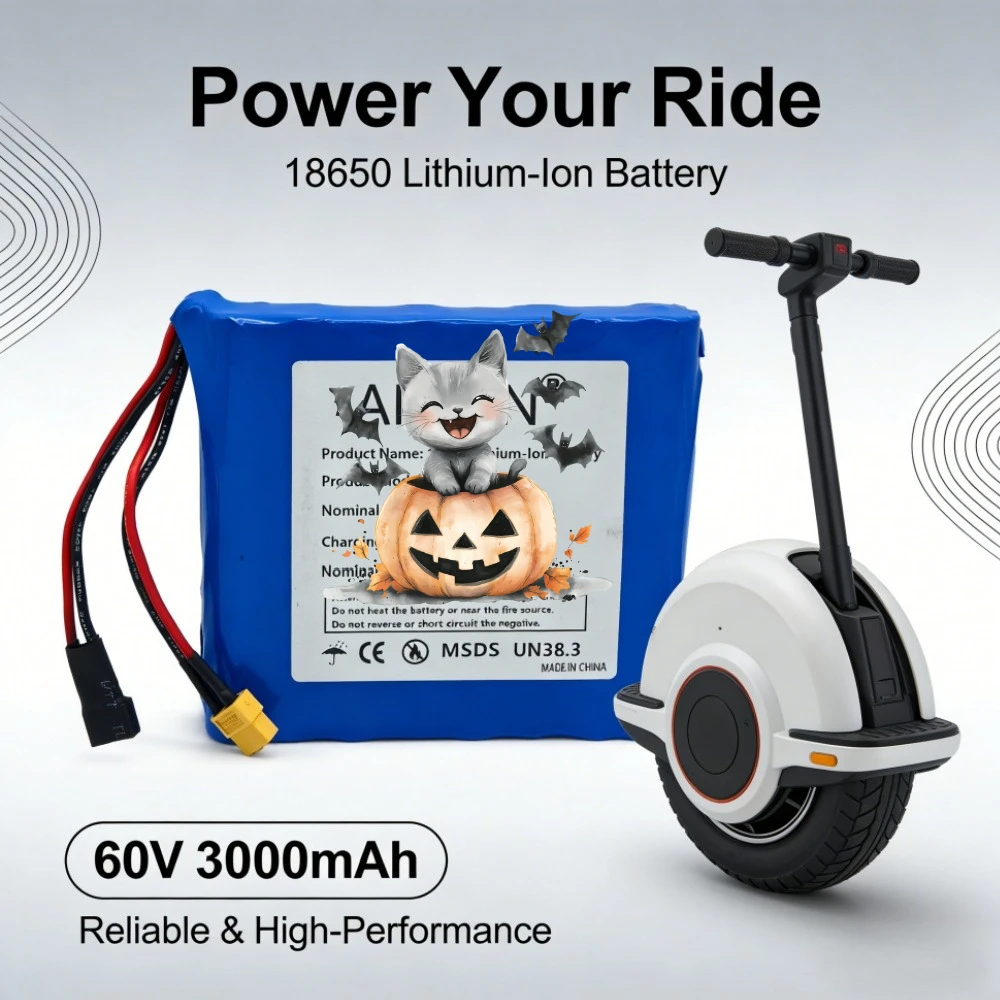 

60V 3000mAh Lithium Battery Pack 16S1P With BMS Balance Unicycle Rechargeable Battery