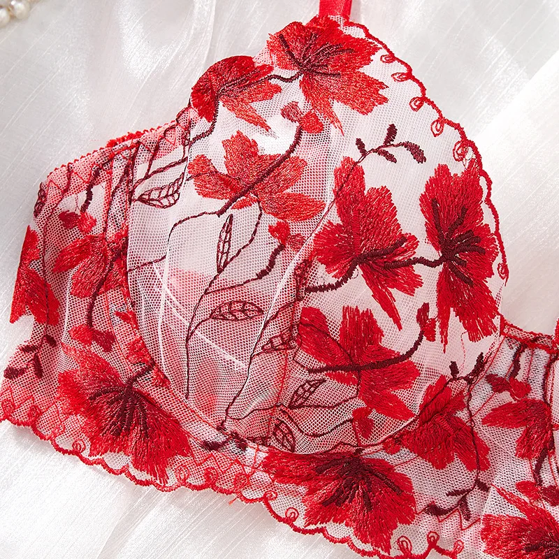 Nuovo reggiseno sexy in pizzo trasparente ultra sottile con ricami rossi, set di lingerie erotica trasparente.