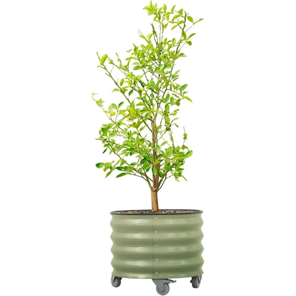 

Металлический горшок для цитрусовых, 21-круглая коробка для цветов для крыльца, патио и заднего двора, большой горшок для цветов на 20 галлонов с колесами для выращивания