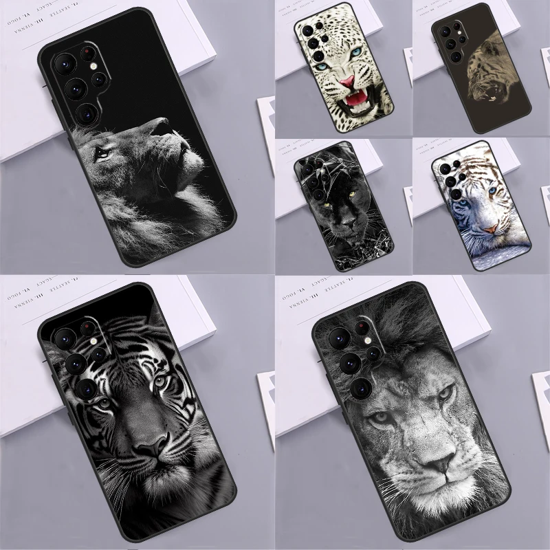 Animal Lion Tiger C… - image