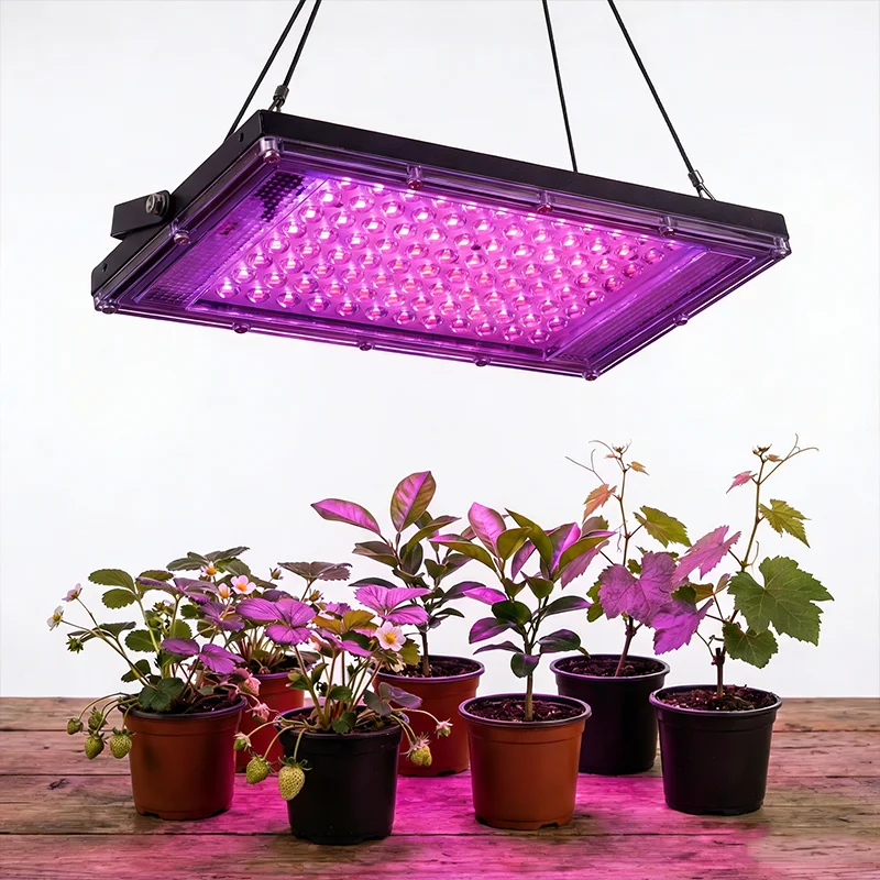 

Светодиодные фитолампы с питанием от USB, портативные светильники для растений для выращивания в помещении, полноспектральные фитолампы для настольных растений и цветов