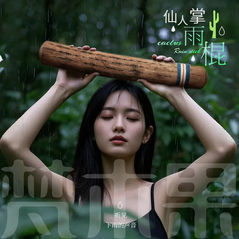 Tibetan Handmade South American Cactus Rain Stick Meditation White Noise Instrument