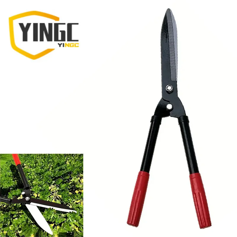 yZ[zYc1 s[X ȉ|͂ - v̎ŐA_AԂ̃g~Op̃NVbNȐlԍHwɊÂԂSnh - ϋv̂\Aȉ|AAȐؒfAADƁAŐ̃eiXAȍ\AsnAAEghADƐp