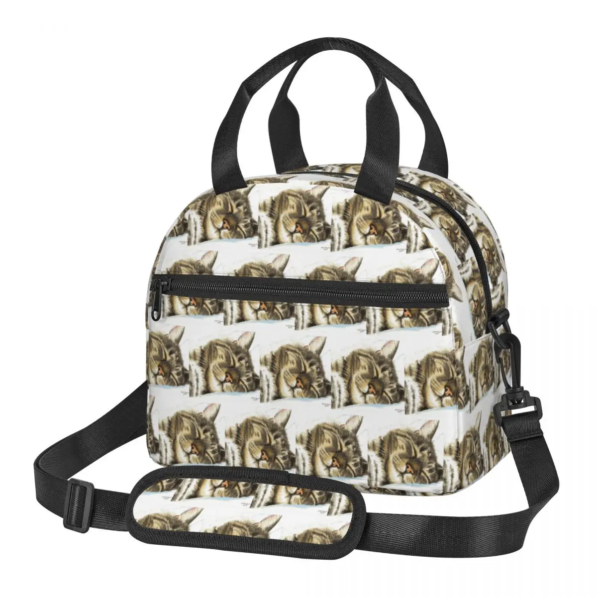 Sleeping Tabby Cat Insulated Lunch Bag for Women Bento Storage Food Boxes Container Cooler Thermal Lunch Box Tote