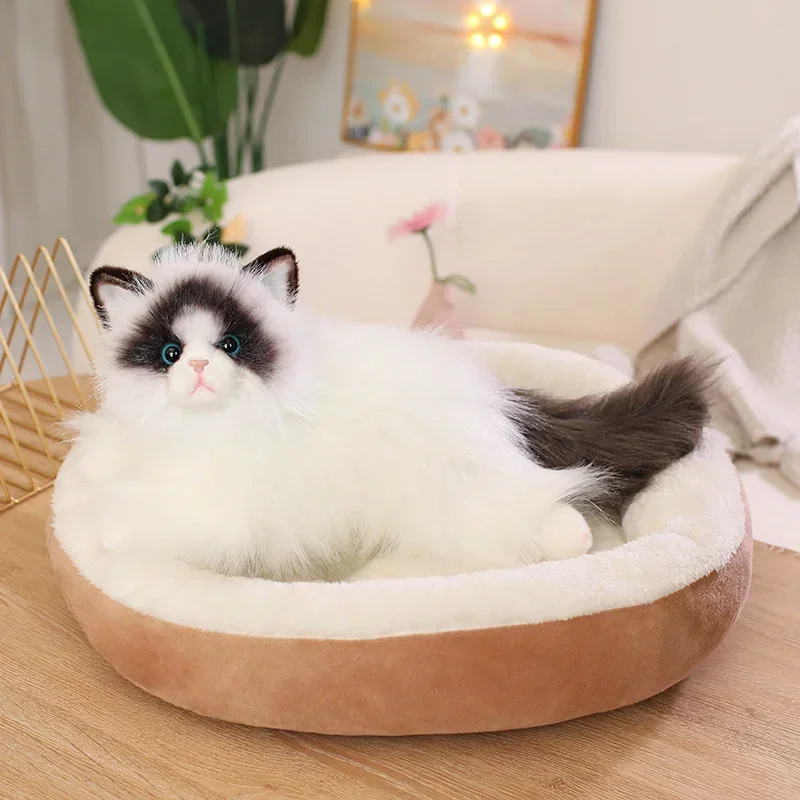 

50cm Kawaii Ragdoll Cat Simulation Plush Animal Doll Stuffed Lying White Long Fur Fluffy Companion Friend Gift