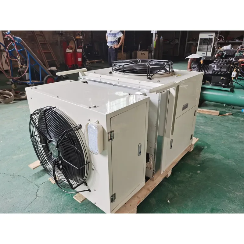 Cold Room Monoblock Refrigeration Unit with Remote Control and Automatic Features for Walk-in Coolers and Freezers