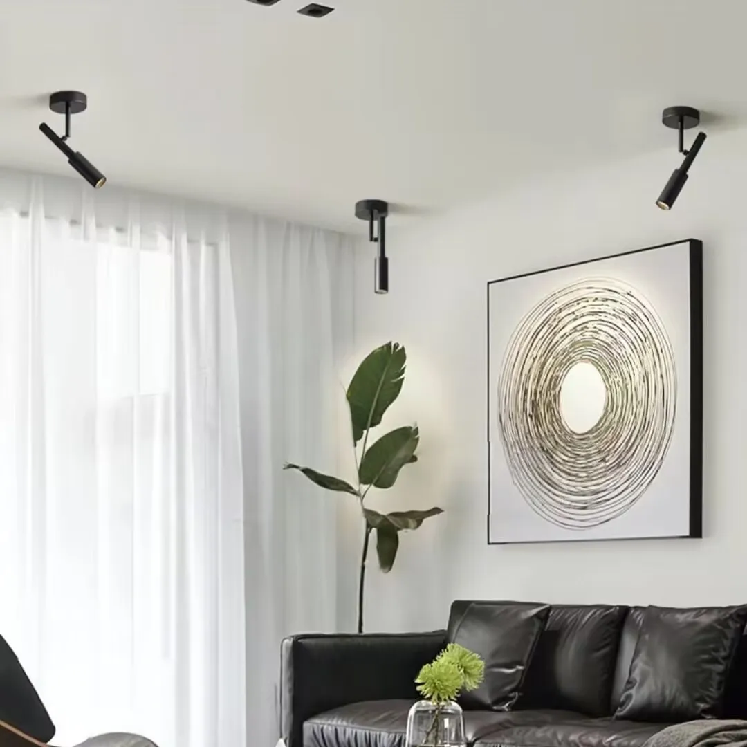 The background wall of the living room features wall mounted picture lights, ceiling lights, rotatable small spotlights