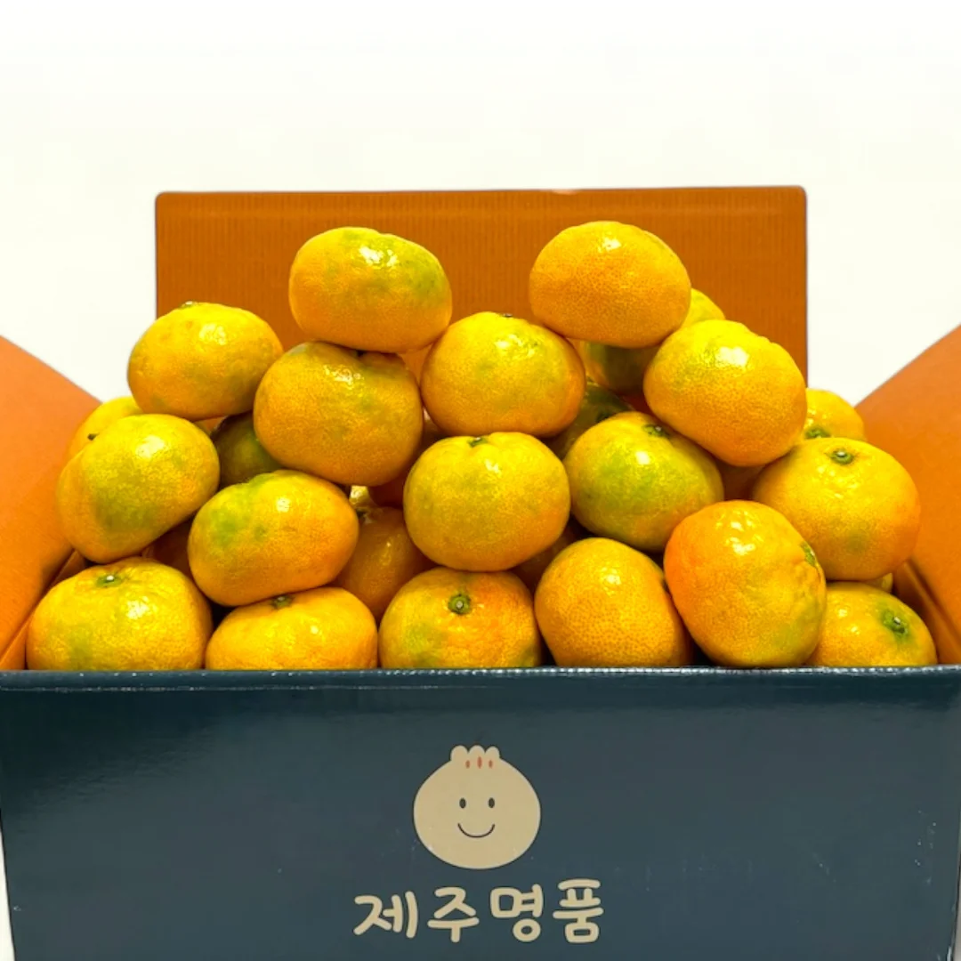 ★   Aliexpress أدنى سعر ★     Jeju التسليم المباشر اليوسفي حجم كبير 3/5 كجم