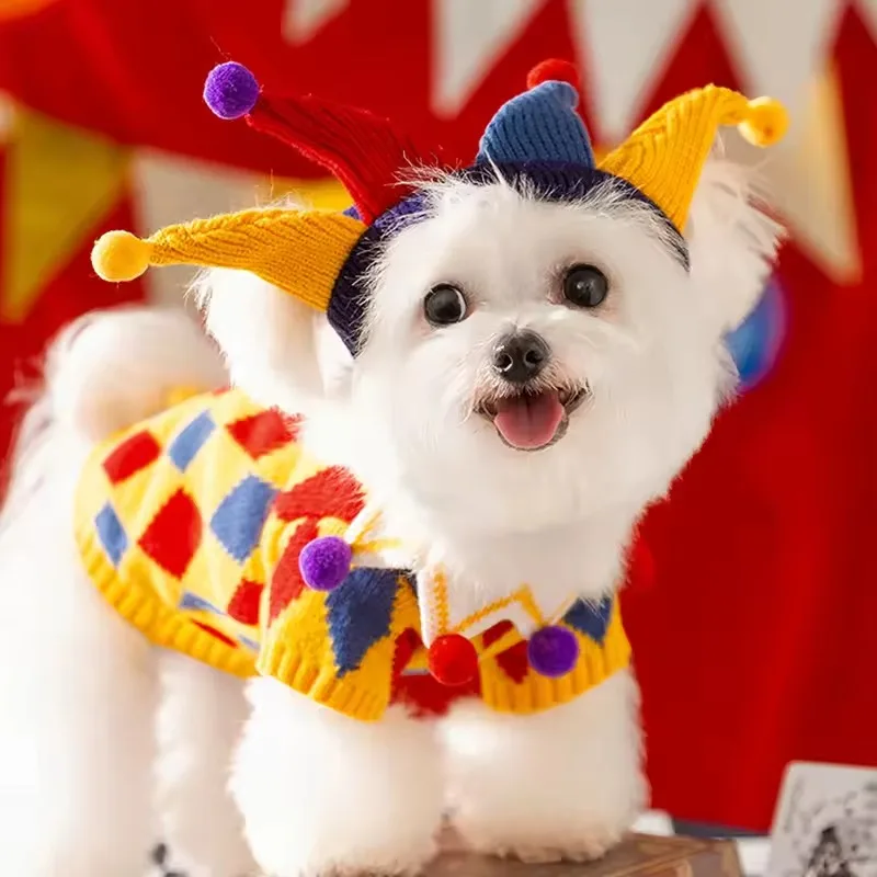 Vestiti di Halloween per cani: festeggia in stile