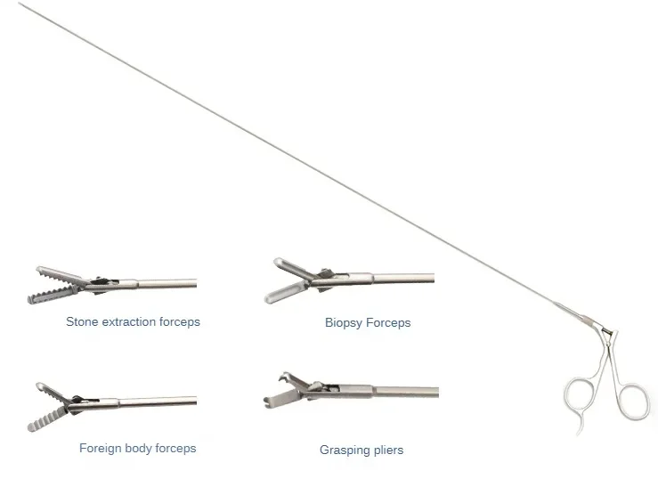 

Ureteroscope foreign body biopsy Lithotomy forceps inverted tooth serrated