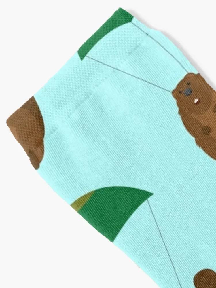 Parachuting Beaver Socks Thermal man winter designer Boy Socks Women's