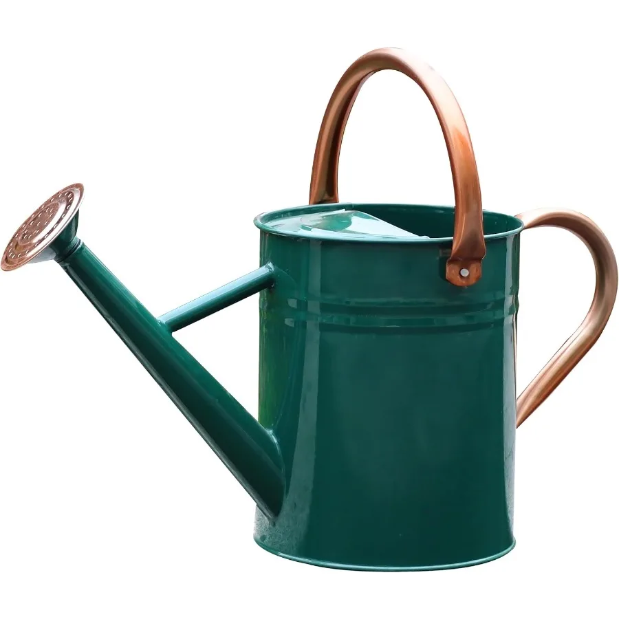 علبة سقاية معدنية للنباتات الخارجية والداخلية ديكور 1 جالون تصميم متين وأنيق لسيارة نباتية فعالة #1