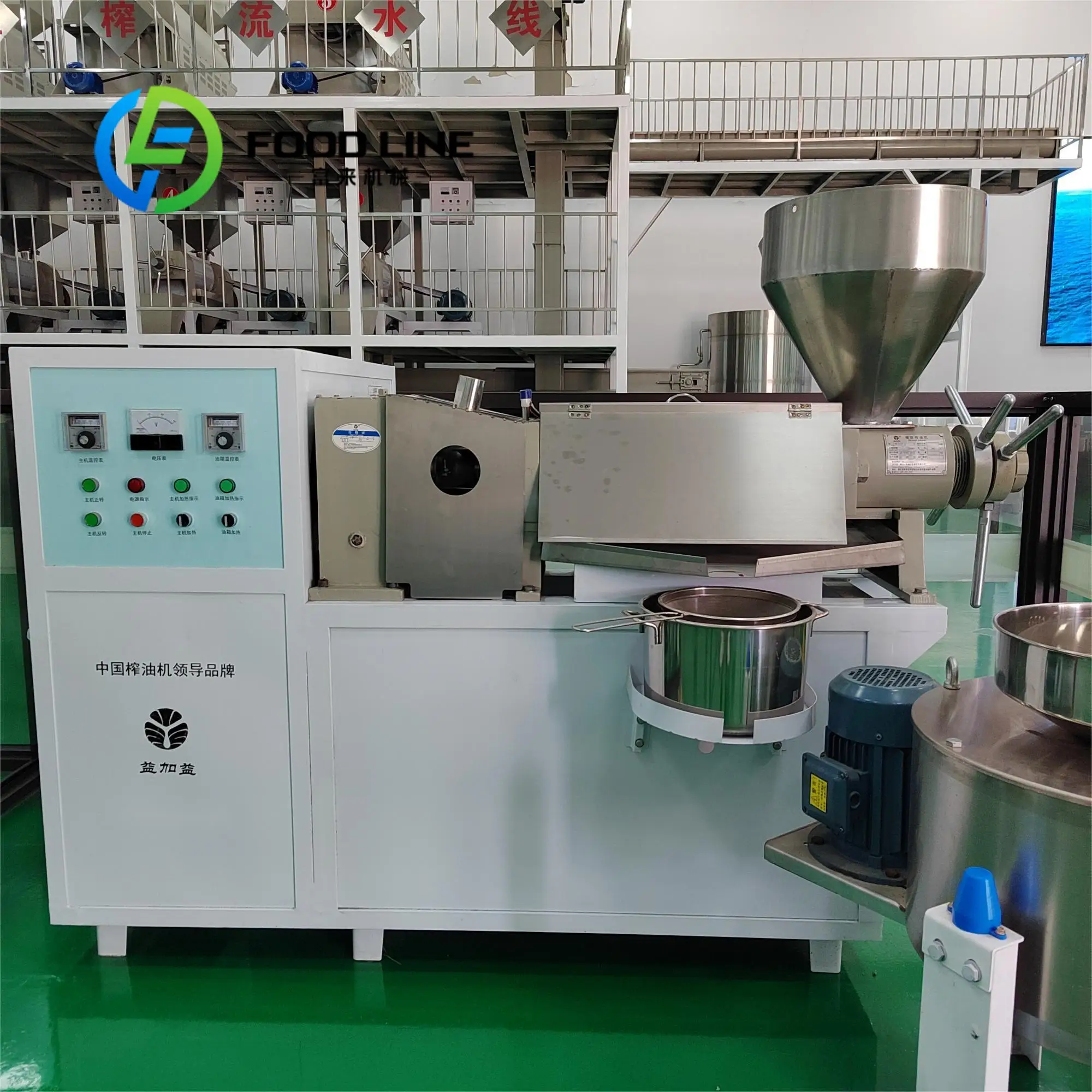 Industrial Oil Press Machine Commercial Automatic Cold Hot Oil Expeller for Peanut Sunflower Sesame Seeds Customize