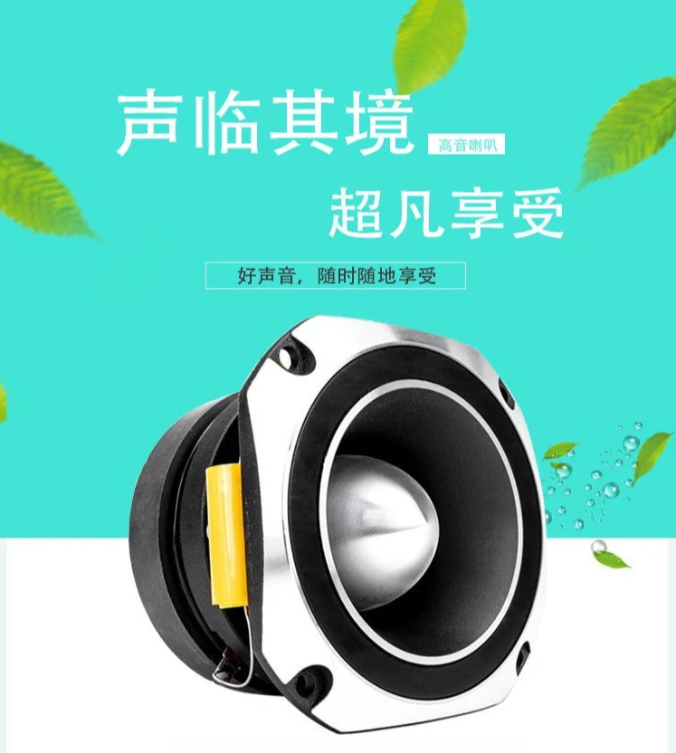 500W High Fidelity Horn Tweeter, 4