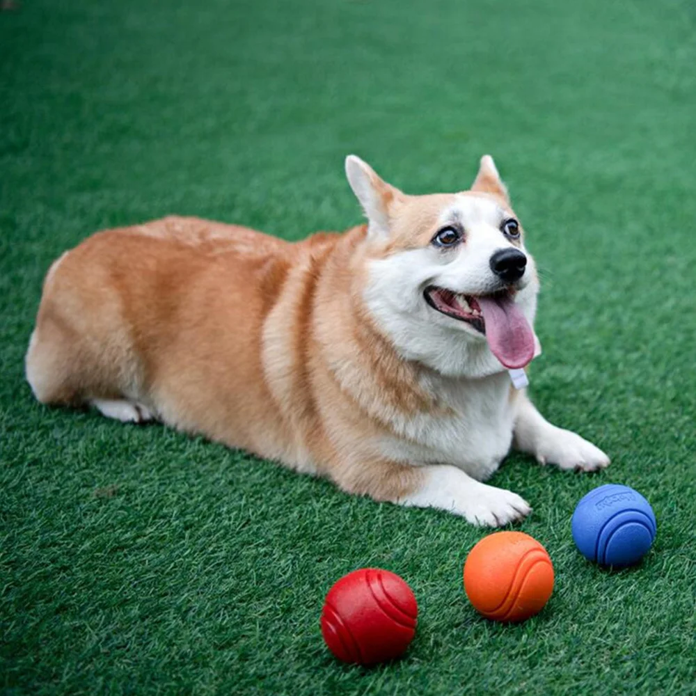 Hundespielzeug Hundeball Hunde-TPR-Ball Widerstandsfähiges Kauspielzeug für Hunde Outdoor-Wurf- und Auffangtraining für Hunde – Detail 11